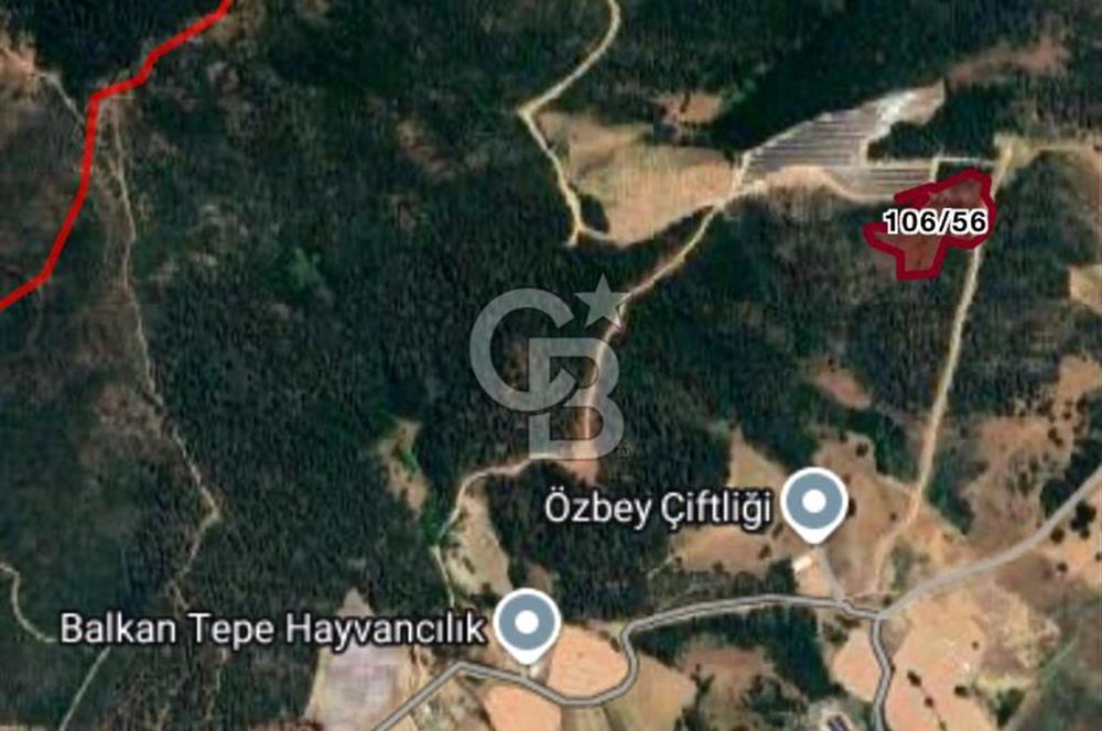 CB BLACK'TAN KESTEL AĞLAŞAN'DA SATILIK FIRSAT TARLA