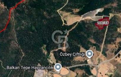 CB BLACK'TAN KESTEL AĞLAŞAN'DA SATILIK FIRSAT TARLA