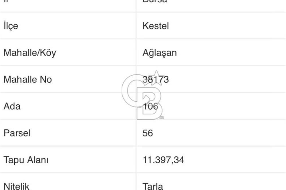 CB BLACK'TAN KESTEL AĞLAŞAN'DA SATILIK FIRSAT TARLA