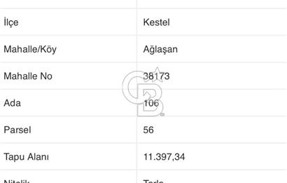 CB BLACK'TAN KESTEL AĞLAŞAN'DA SATILIK FIRSAT TARLA