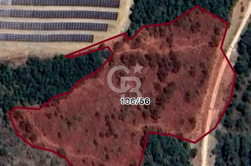 CB BLACK'TAN KESTEL AĞLAŞAN'DA SATILIK FIRSAT TARLA