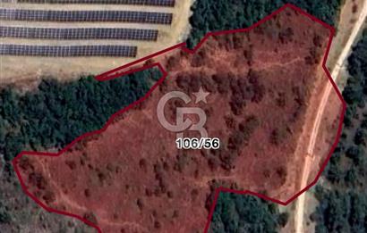 CB BLACK'TAN KESTEL AĞLAŞAN'DA SATILIK FIRSAT TARLA