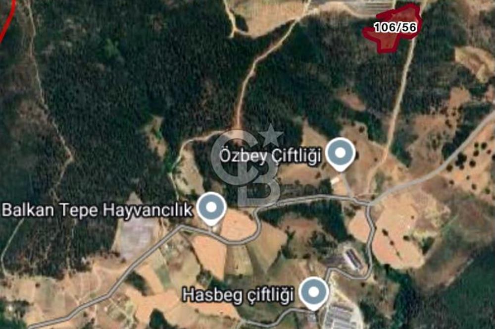 CB BLACK'TAN KESTEL AĞLAŞAN'DA SATILIK FIRSAT TARLA