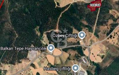 CB BLACK'TAN KESTEL AĞLAŞAN'DA SATILIK FIRSAT TARLA