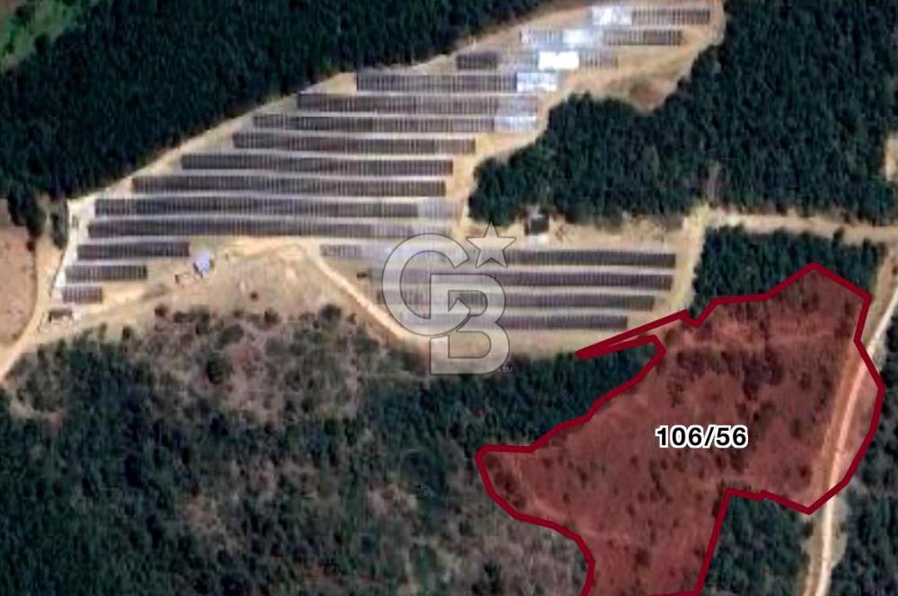 CB BLACK'TAN KESTEL AĞLAŞAN'DA SATILIK FIRSAT TARLA