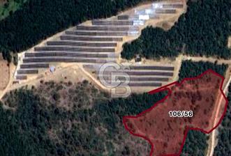 CB BLACK'TAN KESTEL AĞLAŞAN'DA SATILIK FIRSAT TARLA - 1 - 319861