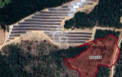 CB BLACK'TAN KESTEL AĞLAŞAN'DA SATILIK FIRSAT TARLA