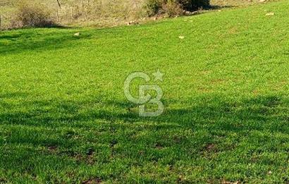 ÇANAKKALE LAPSEKİ BEYÇAYIR KÖYÜ 5246 m2 SATILIK ARAZİ