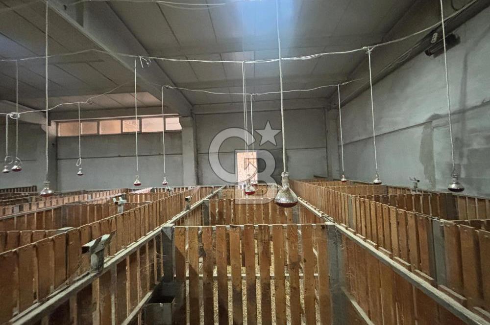 CB KİNG'DEN YENİKÖY MAHALLESİ TAM EKİPMANLI SATILIK ÇİFTLİK