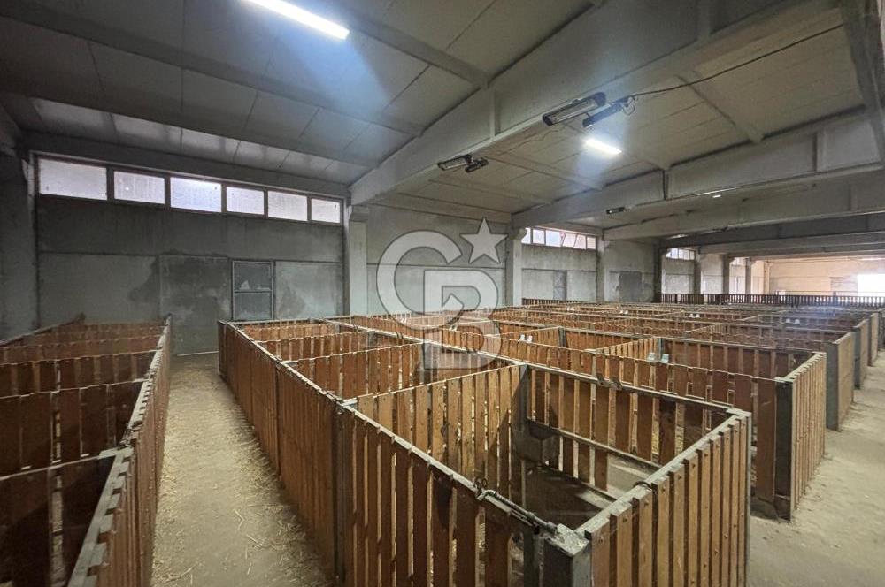 CB KİNG'DEN YENİKÖY MAHALLESİ TAM EKİPMANLI SATILIK ÇİFTLİK