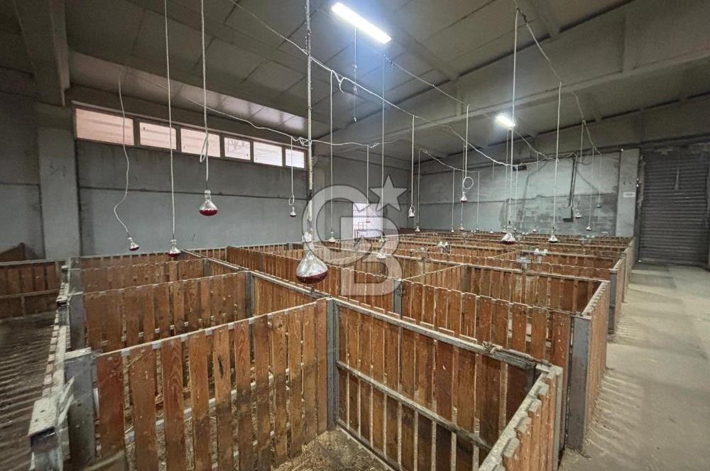 CB KİNG'DEN YENİKÖY MAHALLESİ TAM EKİPMANLI SATILIK ÇİFTLİK