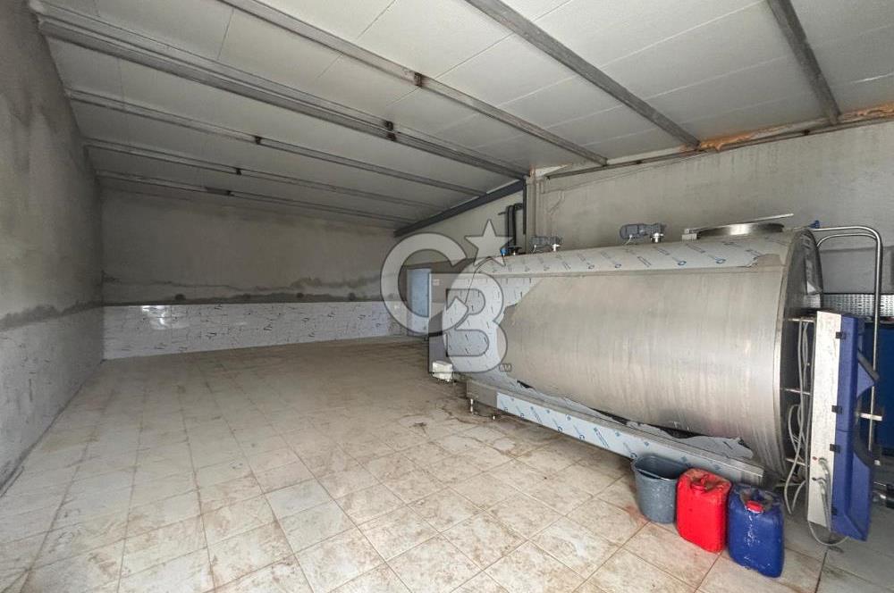 CB KİNG'DEN YENİKÖY MAHALLESİ TAM EKİPMANLI SATILIK ÇİFTLİK