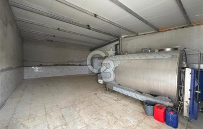 CB KİNG'DEN YENİKÖY MAHALLESİ TAM EKİPMANLI SATILIK ÇİFTLİK