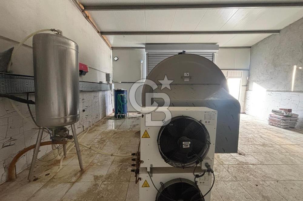 CB KİNG'DEN YENİKÖY MAHALLESİ TAM EKİPMANLI SATILIK ÇİFTLİK