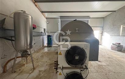 CB KİNG'DEN YENİKÖY MAHALLESİ TAM EKİPMANLI SATILIK ÇİFTLİK