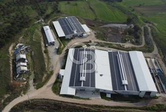 CB KİNG'DEN YENİKÖY MAHALLESİ TAM EKİPMANLI SATILIK ÇİFTLİK - 6 - 319901