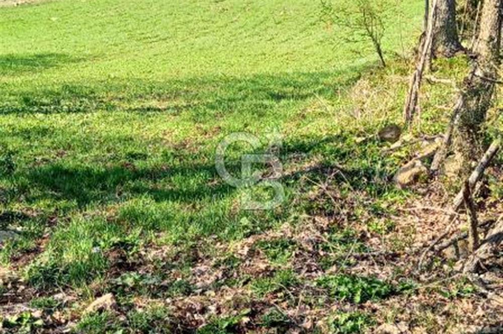 ÇANAKKALE LAPSEKİ BEYÇAYIR KÖYÜ 5246 m2 SATILIK ARAZİ