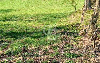 ÇANAKKALE LAPSEKİ BEYÇAYIR KÖYÜ 5246 m2 SATILIK ARAZİ