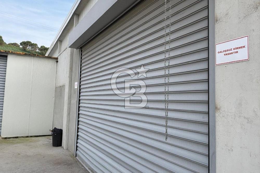 CB KİNG'DEN YENİKÖY MAHALLESİ TAM EKİPMANLI SATILIK ÇİFTLİK