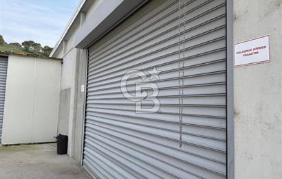 CB KİNG'DEN YENİKÖY MAHALLESİ TAM EKİPMANLI SATILIK ÇİFTLİK