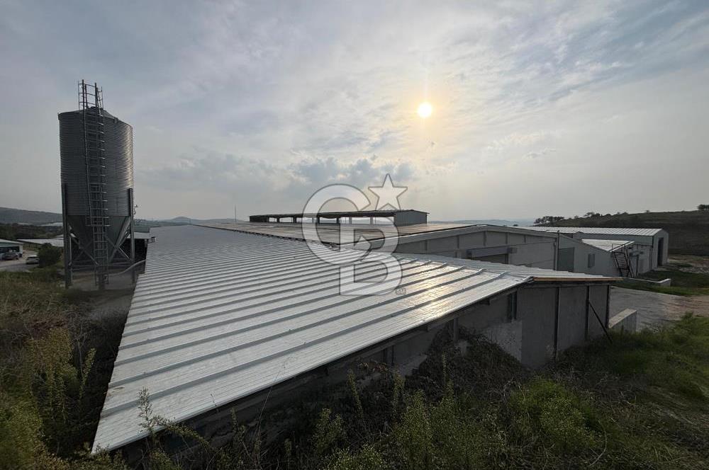 CB KİNG'DEN YENİKÖY MAHALLESİ TAM EKİPMANLI SATILIK ÇİFTLİK