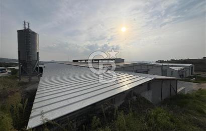 CB KİNG'DEN YENİKÖY MAHALLESİ TAM EKİPMANLI SATILIK ÇİFTLİK