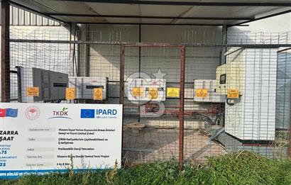 CB KİNG'DEN YENİKÖY MAHALLESİ TAM EKİPMANLI SATILIK ÇİFTLİK