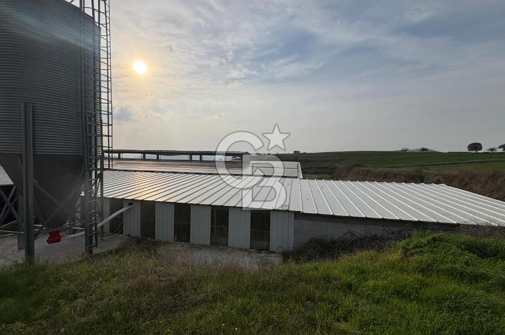 CB KİNG'DEN YENİKÖY MAHALLESİ TAM EKİPMANLI SATILIK ÇİFTLİK