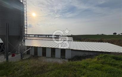 CB KİNG'DEN YENİKÖY MAHALLESİ TAM EKİPMANLI SATILIK ÇİFTLİK