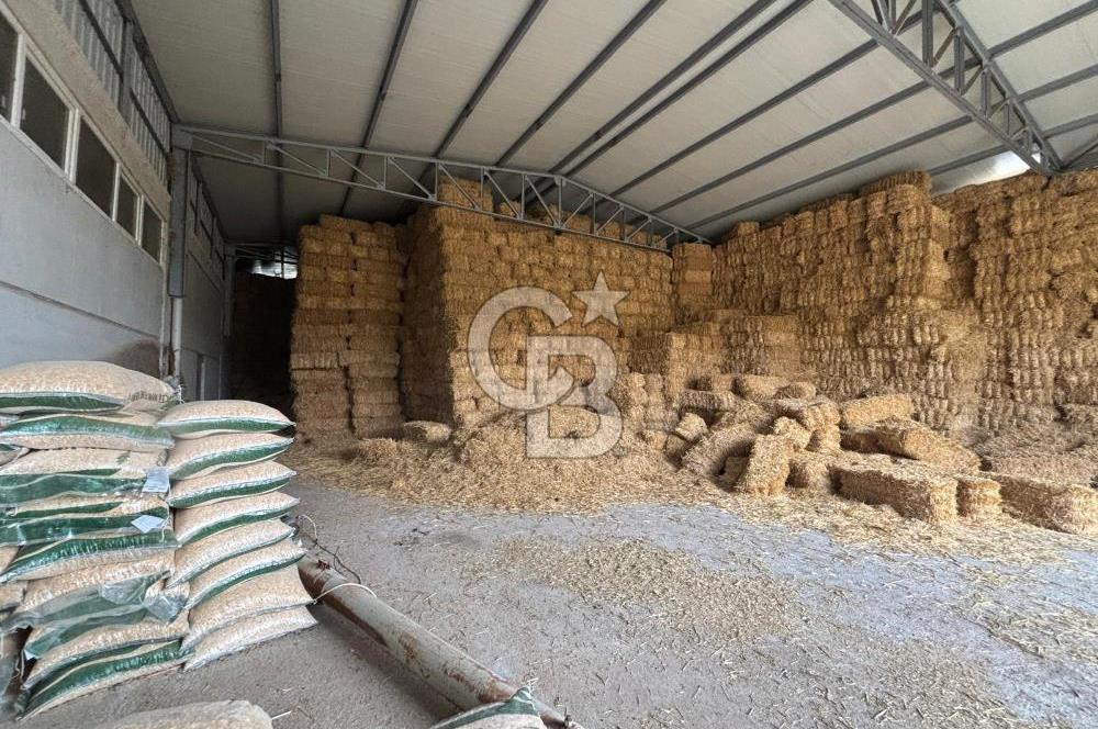 CB KİNG'DEN YENİKÖY MAHALLESİ TAM EKİPMANLI SATILIK ÇİFTLİK