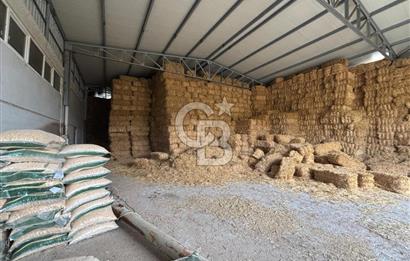 CB KİNG'DEN YENİKÖY MAHALLESİ TAM EKİPMANLI SATILIK ÇİFTLİK