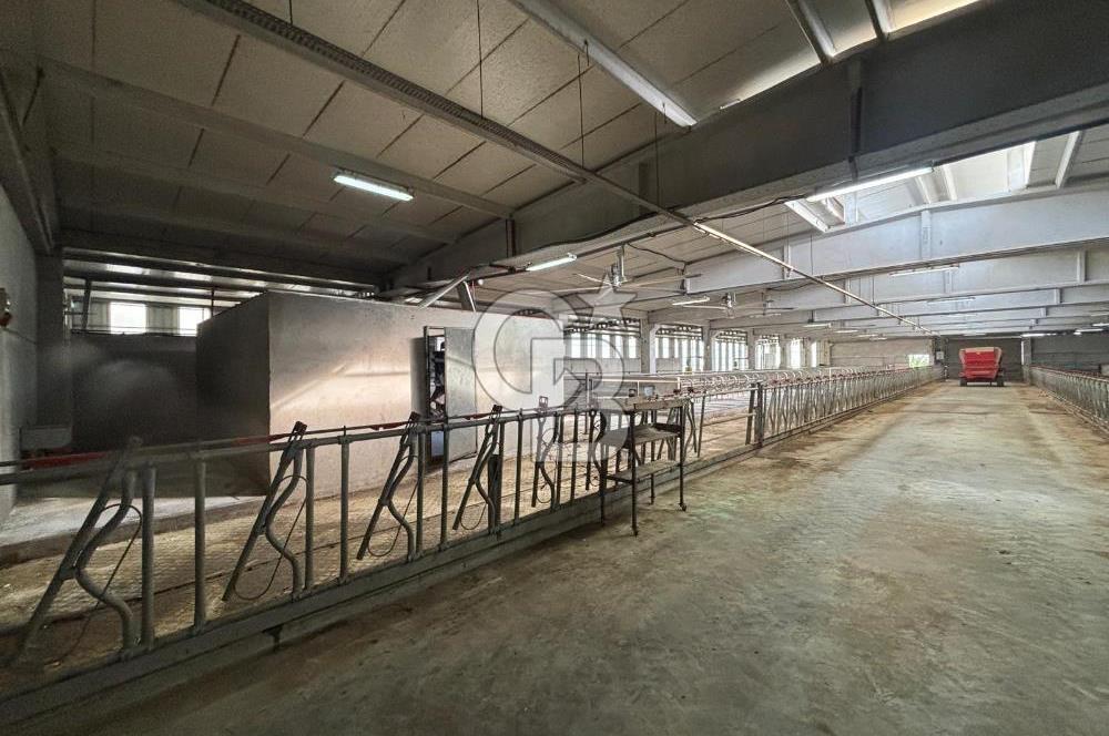 CB KİNG'DEN YENİKÖY MAHALLESİ TAM EKİPMANLI SATILIK ÇİFTLİK