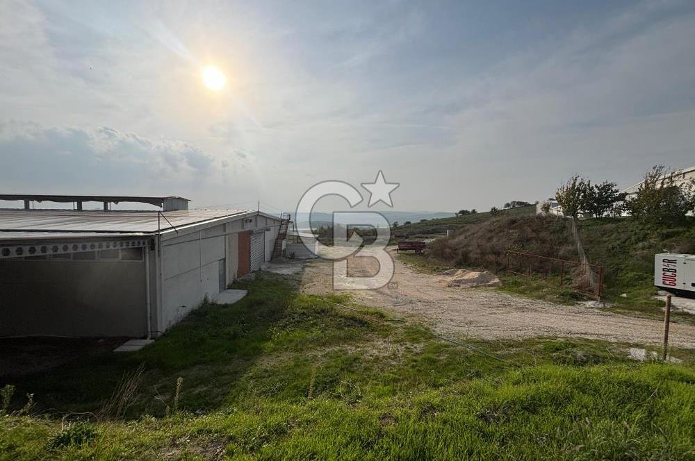 CB KİNG'DEN YENİKÖY MAHALLESİ TAM EKİPMANLI SATILIK ÇİFTLİK