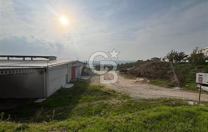 CB KİNG'DEN YENİKÖY MAHALLESİ TAM EKİPMANLI SATILIK ÇİFTLİK