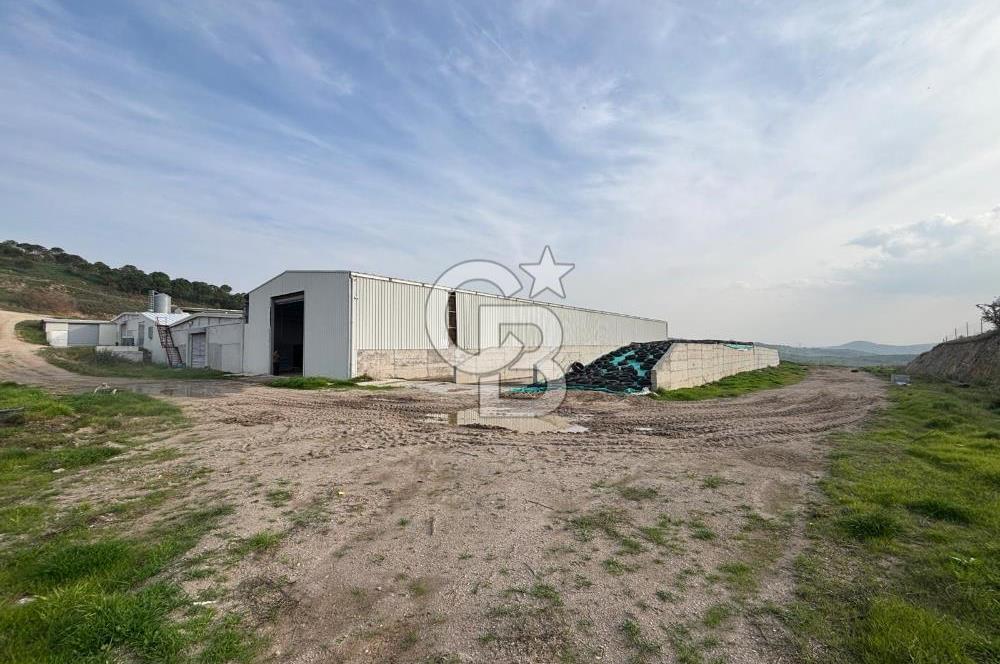 CB KİNG'DEN YENİKÖY MAHALLESİ TAM EKİPMANLI SATILIK ÇİFTLİK