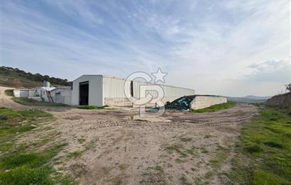 CB KİNG'DEN YENİKÖY MAHALLESİ TAM EKİPMANLI SATILIK ÇİFTLİK