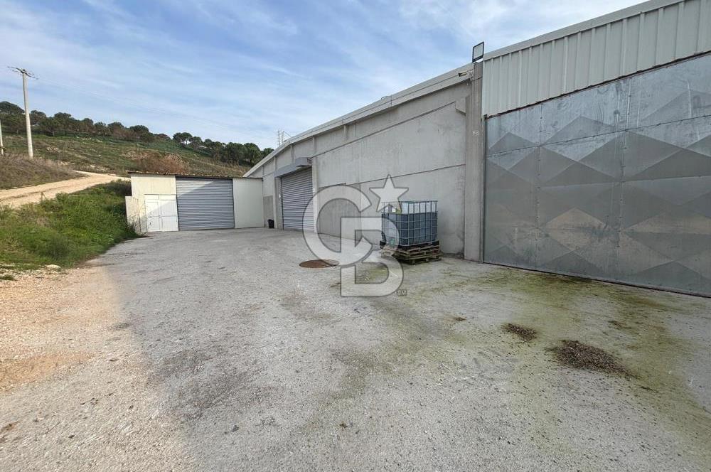 CB KİNG'DEN YENİKÖY MAHALLESİ TAM EKİPMANLI SATILIK ÇİFTLİK