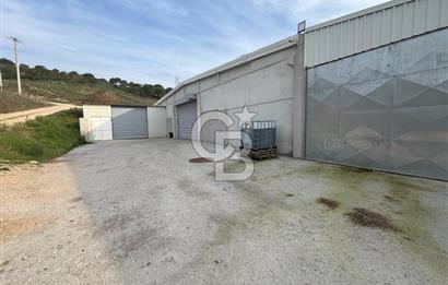 CB KİNG'DEN YENİKÖY MAHALLESİ TAM EKİPMANLI SATILIK ÇİFTLİK