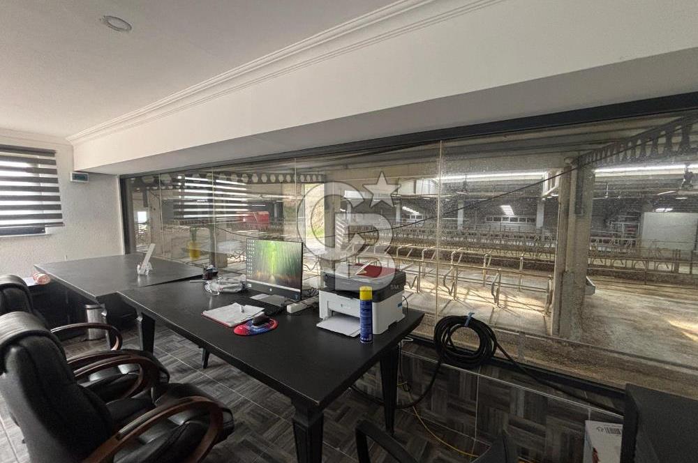 CB KİNG'DEN YENİKÖY MAHALLESİ TAM EKİPMANLI SATILIK ÇİFTLİK