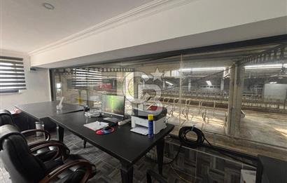 CB KİNG'DEN YENİKÖY MAHALLESİ TAM EKİPMANLI SATILIK ÇİFTLİK