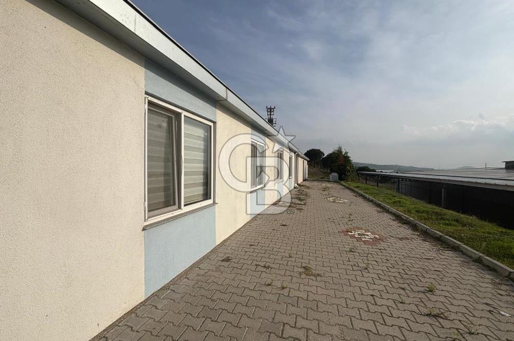 CB KİNG'DEN YENİKÖY MAHALLESİ TAM EKİPMANLI SATILIK ÇİFTLİK