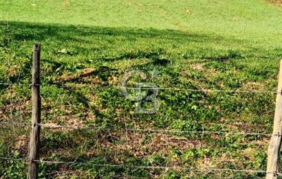 ÇANAKKALE LAPSEKİ BEYÇAYIR KÖYÜ 5246 m2 SATILIK ARAZİ