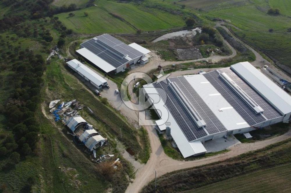 CB KİNG'DEN YENİKÖY MAHALLESİ TAM EKİPMANLI SATILIK ÇİFTLİK