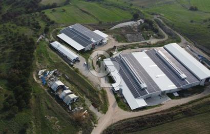 CB KİNG'DEN YENİKÖY MAHALLESİ TAM EKİPMANLI SATILIK ÇİFTLİK