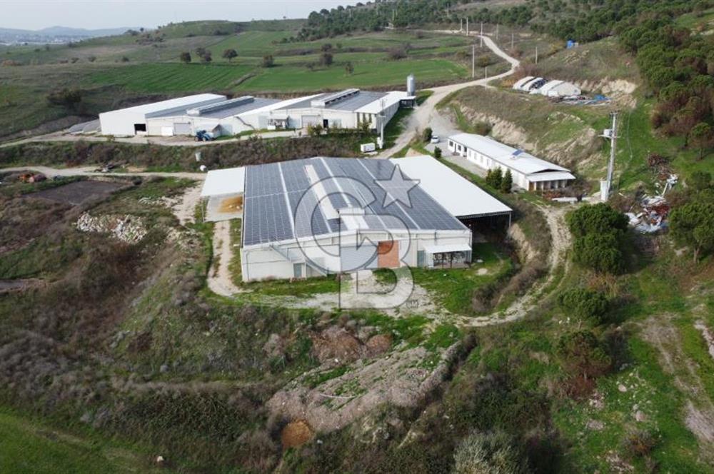 CB KİNG'DEN YENİKÖY MAHALLESİ TAM EKİPMANLI SATILIK ÇİFTLİK