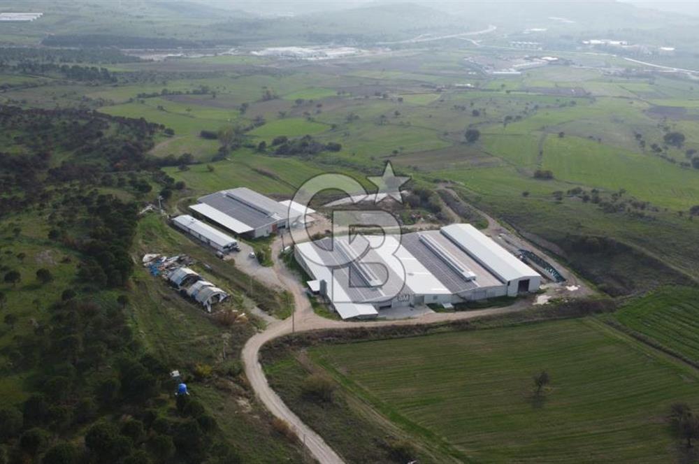 CB KİNG'DEN YENİKÖY MAHALLESİ TAM EKİPMANLI SATILIK ÇİFTLİK