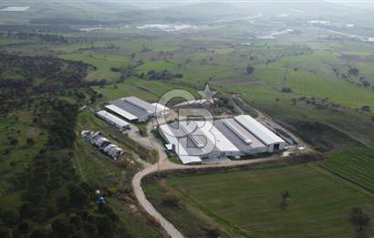 CB KİNG'DEN YENİKÖY MAHALLESİ TAM EKİPMANLI SATILIK ÇİFTLİK