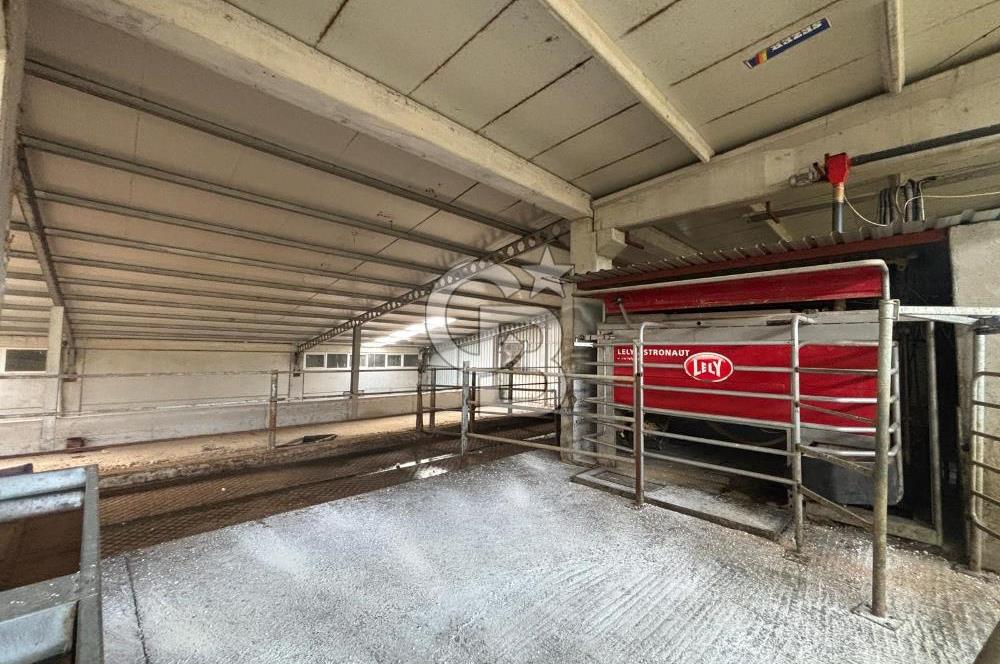 CB KİNG'DEN YENİKÖY MAHALLESİ TAM EKİPMANLI SATILIK ÇİFTLİK