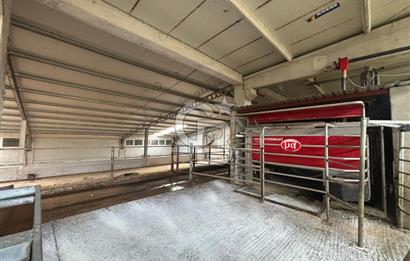 CB KİNG'DEN YENİKÖY MAHALLESİ TAM EKİPMANLI SATILIK ÇİFTLİK