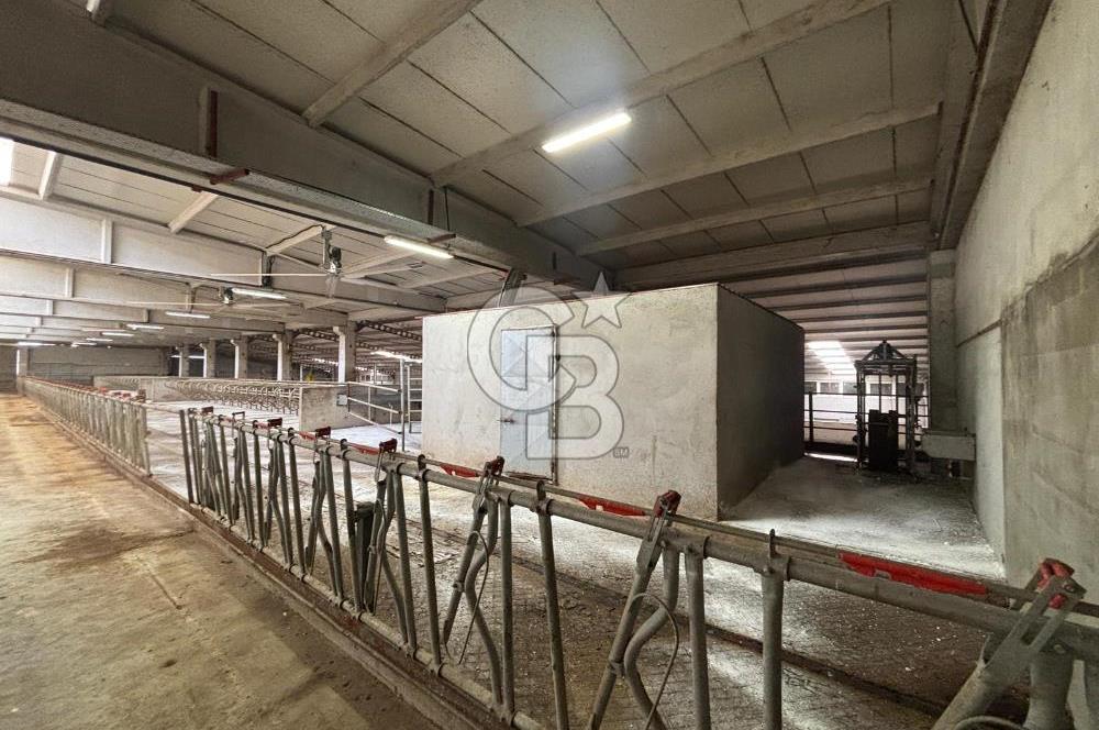 CB KİNG'DEN YENİKÖY MAHALLESİ TAM EKİPMANLI SATILIK ÇİFTLİK